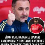 Screenshot_20260319_131931